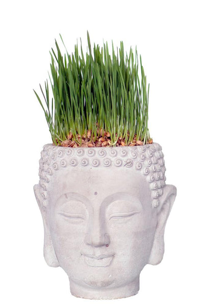 Vagabond Vintage Cement Buddha Head Planter - Set Of 2 | Modishstore | Planters, Troughs & Cachepots-2