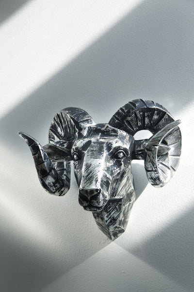 Interior Illusions Ram Head Chrome Taxidermy