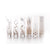 Zodax Centuri Golden Decal Champagne Glasses - Set of 6 | Drinkware | Modishstore-2