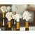 Zodax 3-Piece Sea Coral Wine Bottle Stopper - Set of 2 | Wine & Bar Accessories | Modishstore
