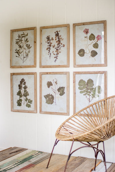 Kalalou Leaf Prints Under Glass - Set Of 6 | Modishstore | Wall Art