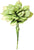 Kalalou Botanica #43 - Set Of 6 | Modishstore | Botanicals