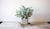 Kalalou Artificial Sage Bush In A Square Pot-2