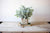 Kalalou Artificial Sage Bush In A Square Pot | Modishstore | Botanicals
