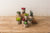 Kalalou Miniature Succulents - Set Of 8 | Modishstore | Botanicals