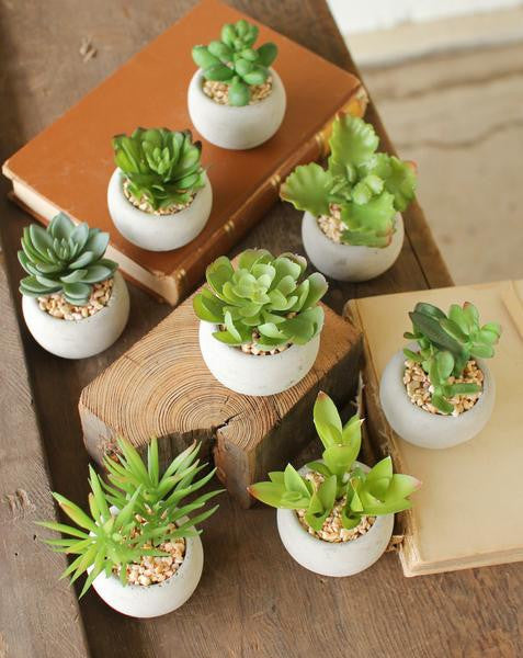 Kalalou 8 Small Succulents With Round Grey Pot - Set Of 2 | Modishstore | Botanicals