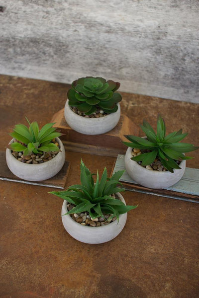 Kalalou Artificial Succulents In Low Round Cement Pots - Set Of 4 | Modishstore | Planters, Troughs & Cachepots