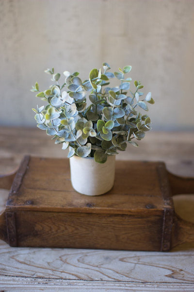 Kalalou Boxwood Sage Plant IN Concrete Pot - Set of 4 | Modishstore | Planters, Troughs & Cachepots