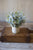 Kalalou Boxwood Sage Plant IN Concrete Pot - Set of 4 | Modishstore | Planters, Troughs & Cachepots