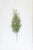 Kalalou Artifical Charleston Stem  - Set of 12 | Modishstore | Botanicals
