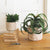 Kalalou Set Of 2 Cement Sack Planters | Modishstore | Planters, Troughs & Cachepots
