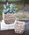 Kalalou Set Of 2 Square Cement Basket Planters | Modishstore | Planters, Troughs & Cachepots