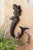 Kalalou Cast Iron Mermaid Hook - Rustic - Set Of 8 | Modishstore | Outdoor Decor