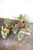 Kalalou Succulents In Glass Containers - Set Of 6-2