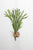 Kalalou Artificial Stag Horn Fern Branch - Large - Set Of 6 | Modishstore | Botanicals