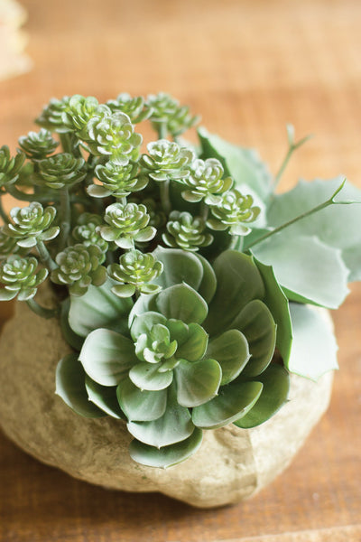 Kalalou Artificial Assorted Succulent Garden In A Paper Pot | Modishstore | Botanicals