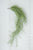 Kalalou Artificial Green Moss - Set of 6 | Modishstore | Botanicals