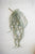 Kalalou Large Hanging Artificial  Necklace Fern - Set of 6 | Modishstore | Botanicals