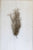 Kalalou Artificial Grey Moss - Set of 6 | Modishstore | Botanicals