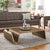 Modway Polaris Wood Coffee Table - Walnut | Coffee Tables | Modishstore