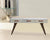 Fine Mod Imports Fanta Desk | Desks | Modishstore