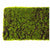 Green Wall, 'New Moss', Strip by Gold Leaf Design Group | Green Wall | Modishstore-7