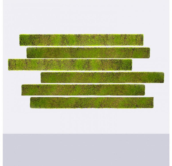 Green Wall, 'New Moss', Strip by Gold Leaf Design Group | Green Wall | Modishstore-8