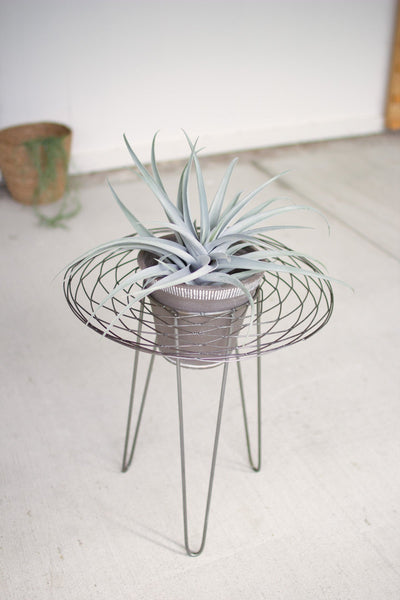 Kalalou Grey Wash Planter With Wild Raw Wire Side Table | Modishstore | Side Tables