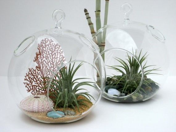 Hanging Glass Orb Terrarium/ Candle Holder Set(12Pcs) by Artisan Living Candle Holders, Artisan Living, - Modish Store-16