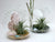 Hanging Glass Orb Terrarium/ Candle Holder Set(12Pcs) by Artisan Living Candle Holders, Artisan Living, - Modish Store-16