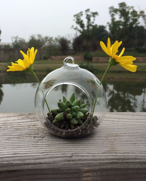 Hanging Glass Orb Terrarium/ Candle Holder Set(12Pcs) by Artisan Living Candle Holders, Artisan Living, - Modish Store-13