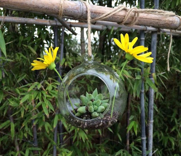 Hanging Glass Orb Terrarium/ Candle Holder Set(12Pcs) by Artisan Living Candle Holders, Artisan Living, - Modish Store-14