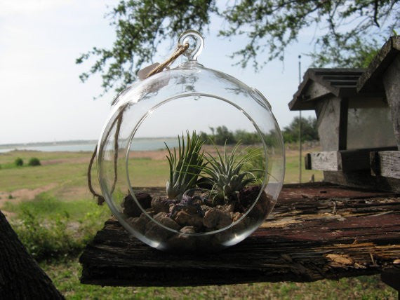 Hanging Glass Orb Terrarium/ Candle Holder Set(12Pcs) by Artisan Living Candle Holders, Artisan Living, - Modish Store-17