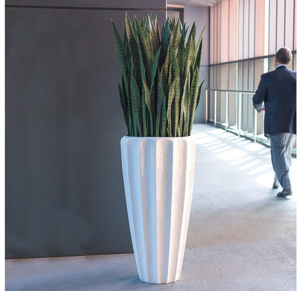 Gold Leaf Design Group Sansevieria In Pia Planter | Botanicals | Modishstore