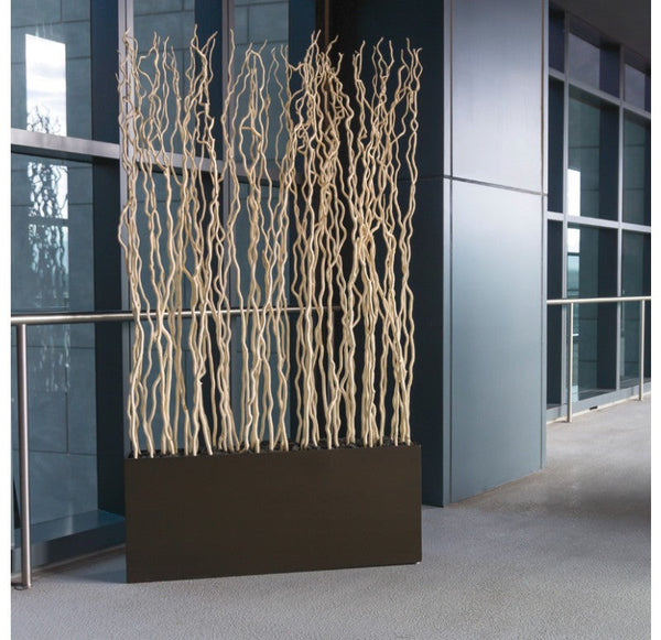 Gold Leaf Design Group Bleached Kuwa in Rectangle Planter | Botanicals | Modishstore