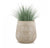 Gold Leaf Design Group Bear Grass In Urbano Bell Fiber Clay Planter | Planters, Troughs & Cachepots | Modishstore-2