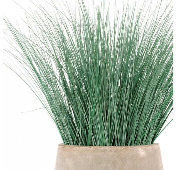 Gold Leaf Design Group Bear Grass In Urbano Bell Fiber Clay Planter | Planters, Troughs & Cachepots | Modishstore-4