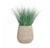 Gold Leaf Design Group Bear Grass In Urbano Bell Fiber Clay Planter | Planters, Troughs & Cachepots | Modishstore-3