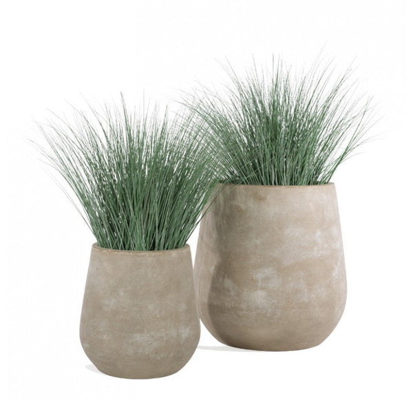 Gold Leaf Design Group Bear Grass In Urbano Bell Fiber Clay Planter | Planters, Troughs & Cachepots | Modishstore