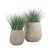 Gold Leaf Design Group Bear Grass In Urbano Bell Fiber Clay Planter | Planters, Troughs & Cachepots | Modishstore