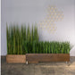 Gold Leaf Design Group Tall Onion Grass In Custom Rectangle Planter | Botanicals | Modishstore-2