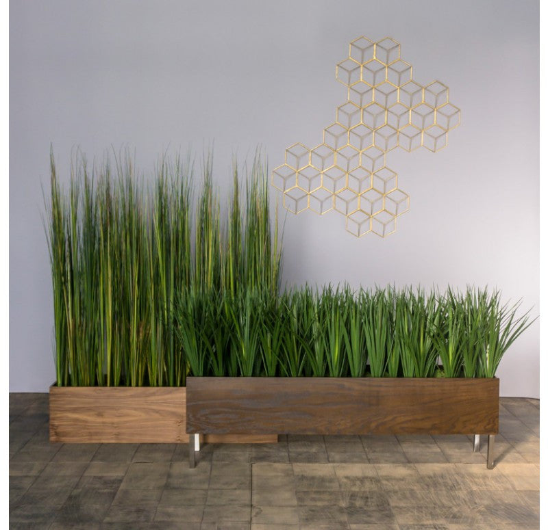 Gold Leaf Design Group Tall Onion Grass In Custom Rectangle Planter | Botanicals | Modishstore-2