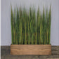 Gold Leaf Design Group Tall Onion Grass In Custom Rectangle Planter | Botanicals | Modishstore