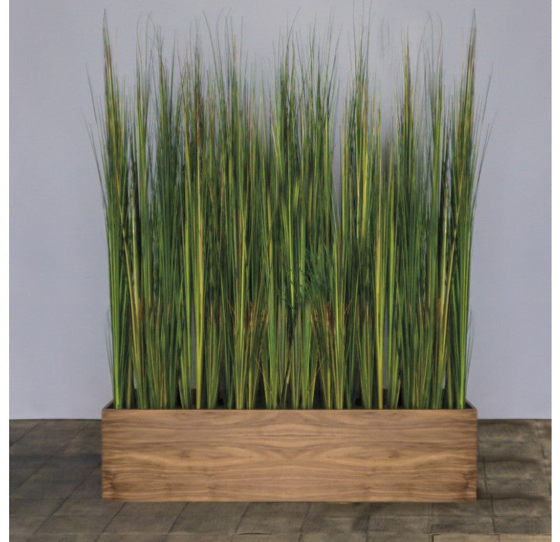 Gold Leaf Design Group Tall Onion Grass In Custom Rectangle Planter | Botanicals | Modishstore