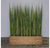 Gold Leaf Design Group Tall Onion Grass In Custom Rectangle Planter | Botanicals | Modishstore
