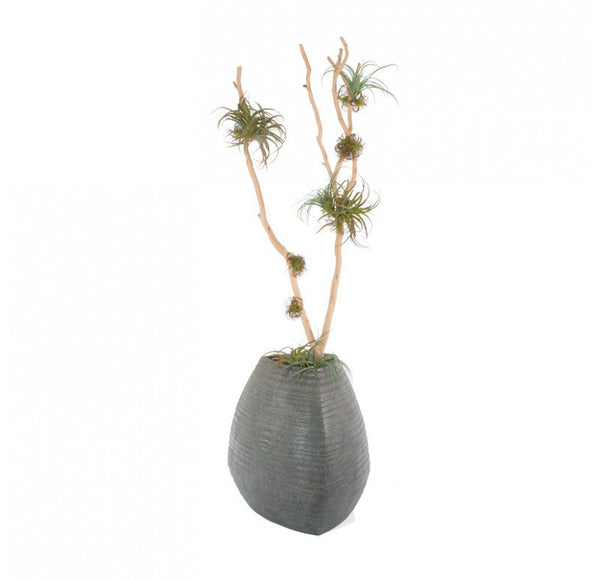 Gold Leaf Design Group Redwood & Tillandsia Mix In Trapezoid Planter | Botanicals | Modishstore