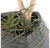 Gold Leaf Design Group Redwood & Tillandsia Mix In Trapezoid Planter | Botanicals | Modishstore-2