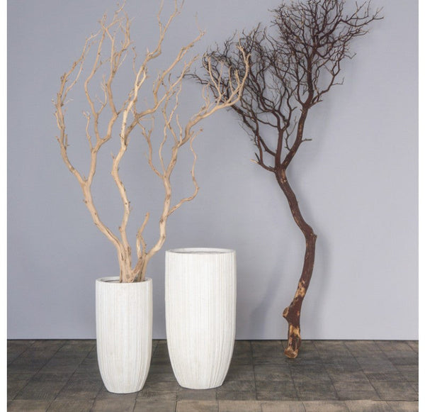 Gold Leaf Design Group Sandblasted Manzanita Tree In Small Linea Planter | Botanicals | Modishstore-2