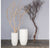 Gold Leaf Design Group Sandblasted Manzanita Tree In Small Linea Planter | Botanicals | Modishstore-2