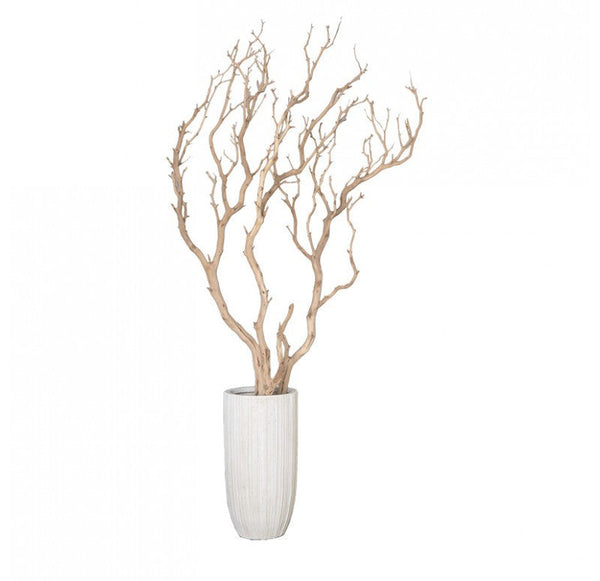 Gold Leaf Design Group Sandblasted Manzanita Tree In Small Linea Planter | Botanicals | Modishstore